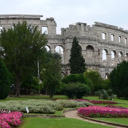 Arena *